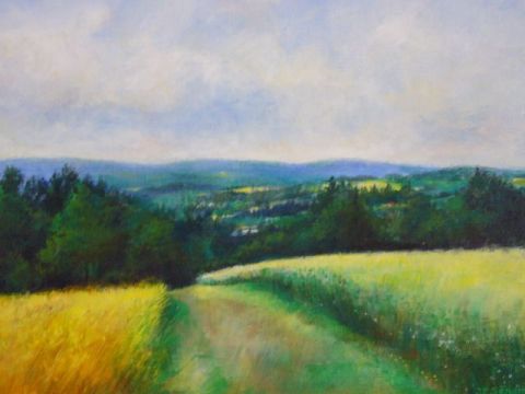  paysage  des monte de Blond Limousin